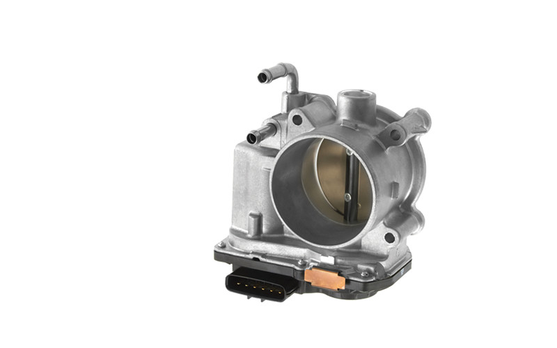 Electronic Throttle Bodies
